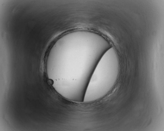 X0000099471267200805090806
