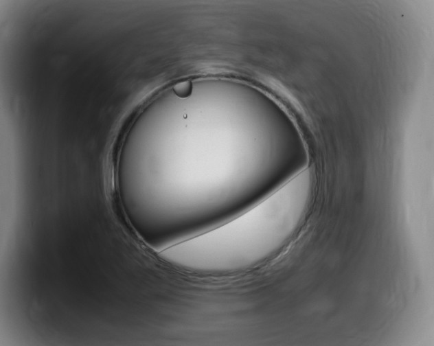 X0000099471269200805090806