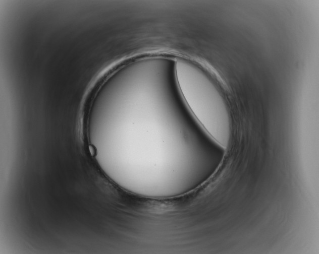 X0000099471270200805090806
