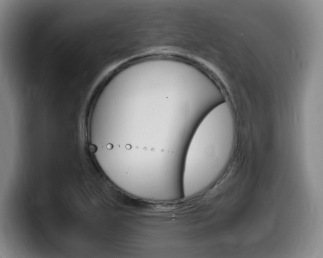 X0000099471271200805090806