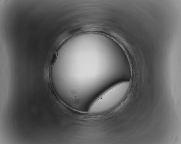 X0000099471273200805090806