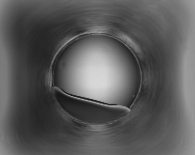 X0000099471276200805090806