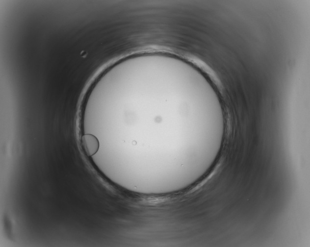 X0000099471278200805090806