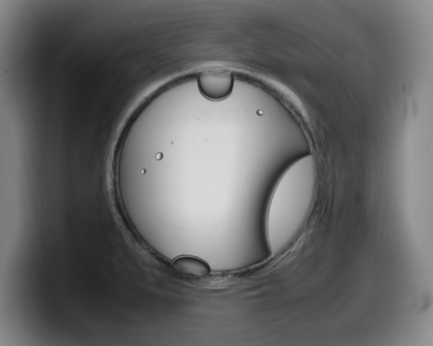 X0000099471279200805090806