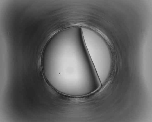 X0000099471281200805090806