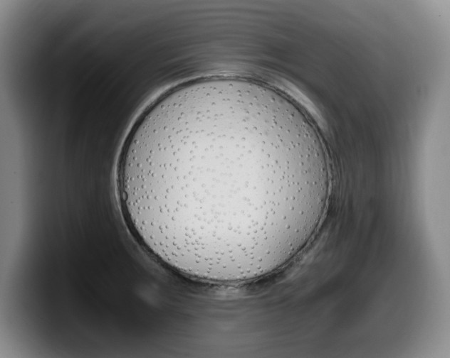 X0000099471283200805090806