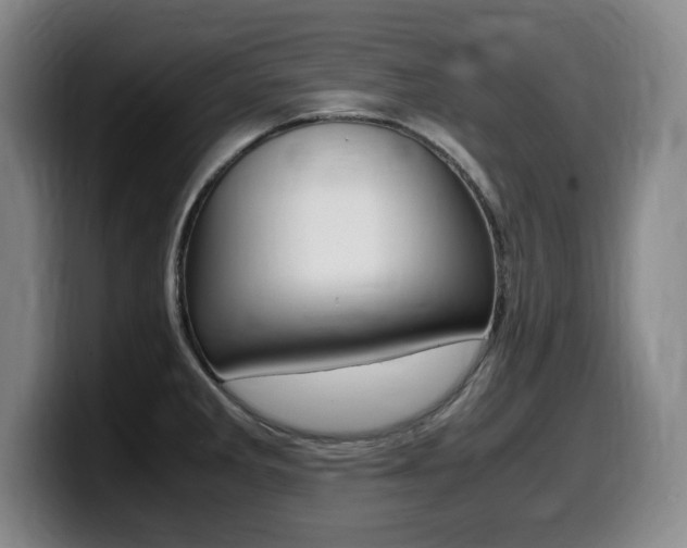 X0000099471285200805090806