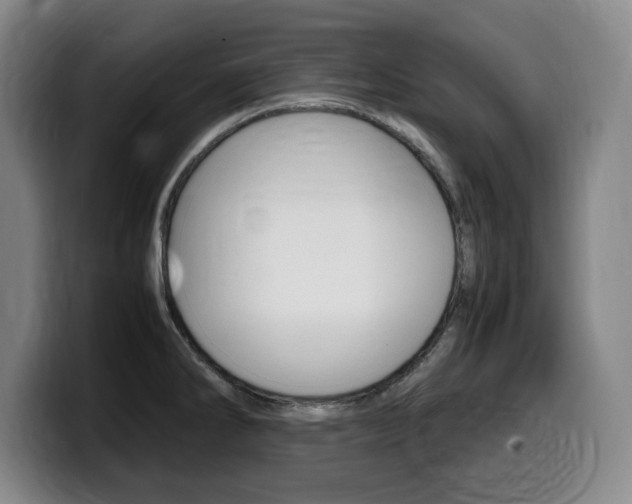 X0000099471286200805090806