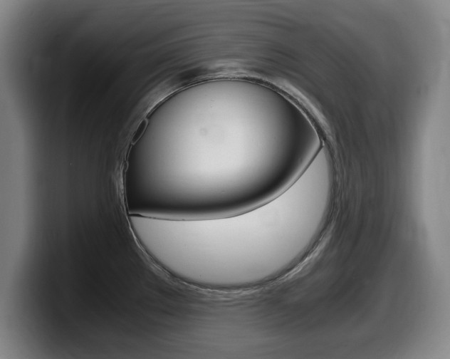 X0000099471289200805090806