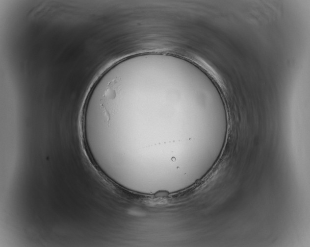 X0000099471291200805090806