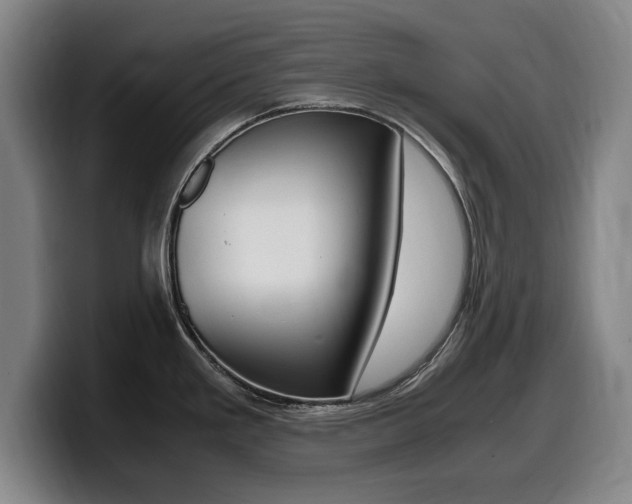 X0000099471293200805090806