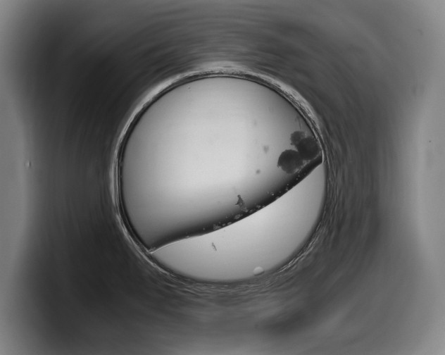 X0000099471295200805090806