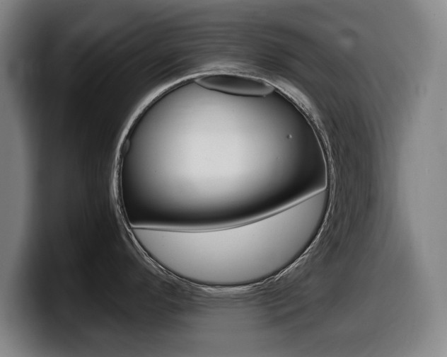 X0000099471296200805090806