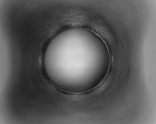X0000099471300200805090805