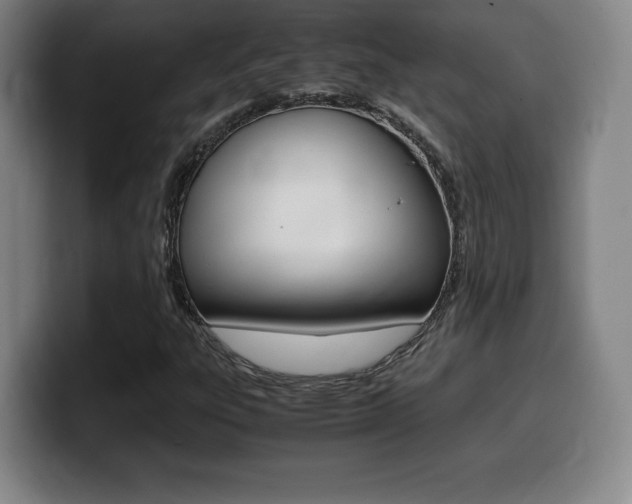 X0000099471303200805090805
