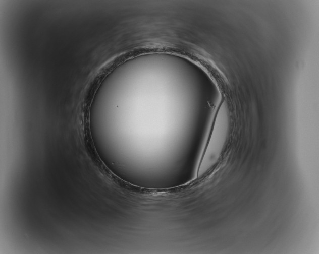 X0000099471304200805090805