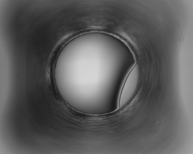 X0000099471307200805090805