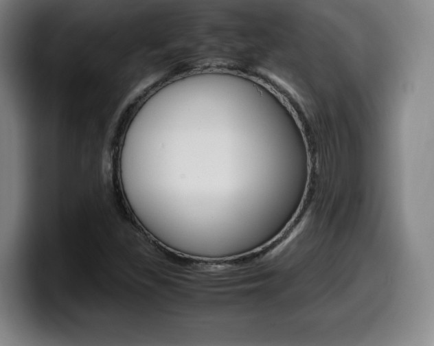 X0000099471309200805090805