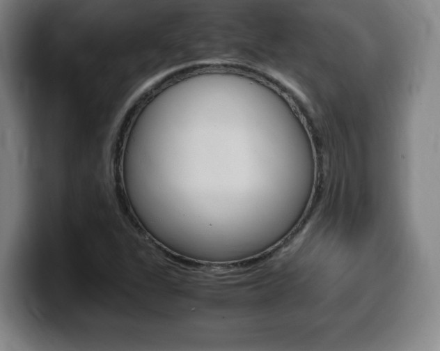 X0000099471311200805090805