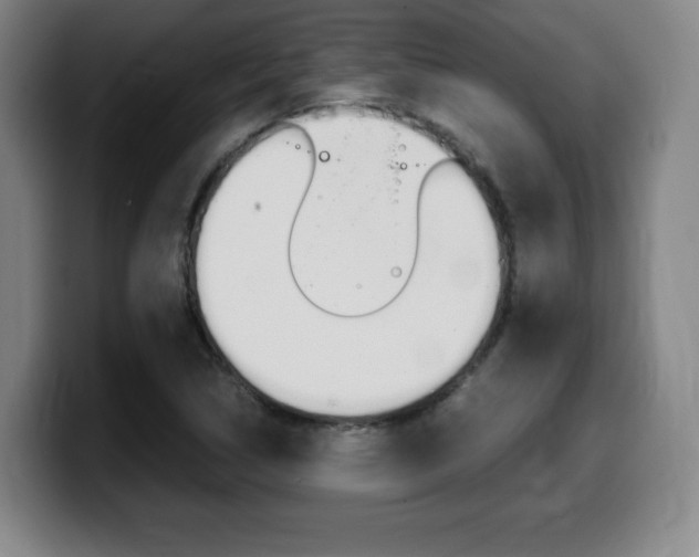 X0000099471314200805090805