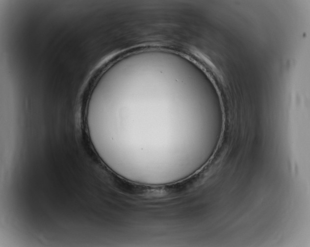 X0000099471315200805090805