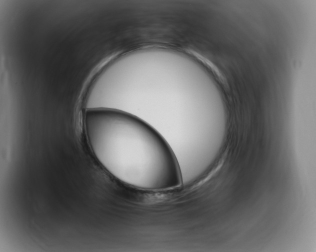 X0000099471317200805090805