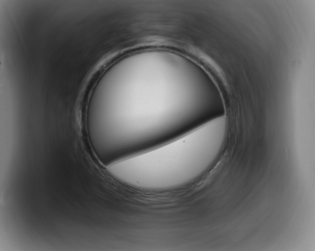 X0000099471318200805090805