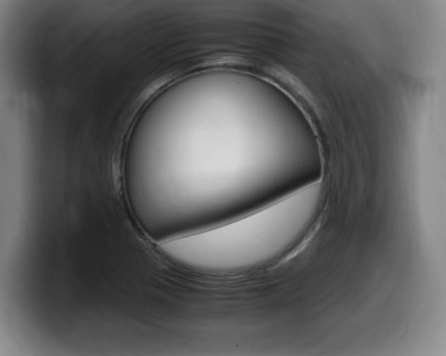 X0000099471321200805090805