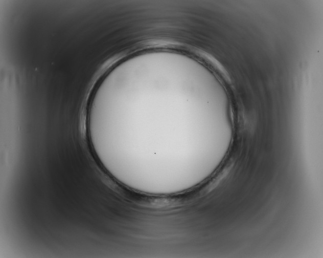 X0000099471322200805090805