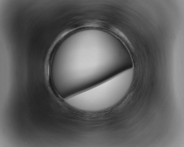 X0000099471323200805090805