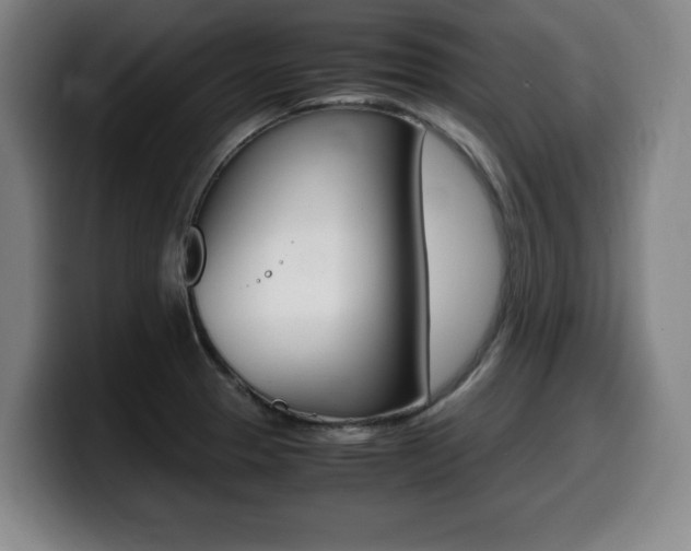 X0000099471329200805090806