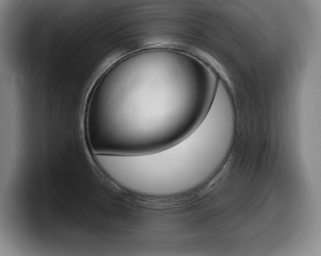 X0000099471330200805090806