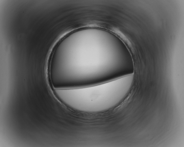 X0000099471331200805090806