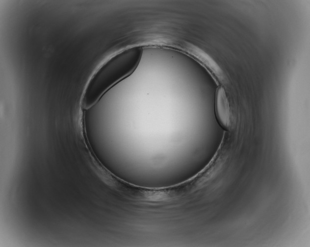 X0000099471332200805090806