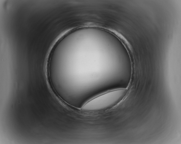 X0000099471333200805090806