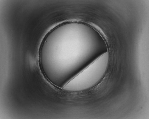 X0000099471335200805090806