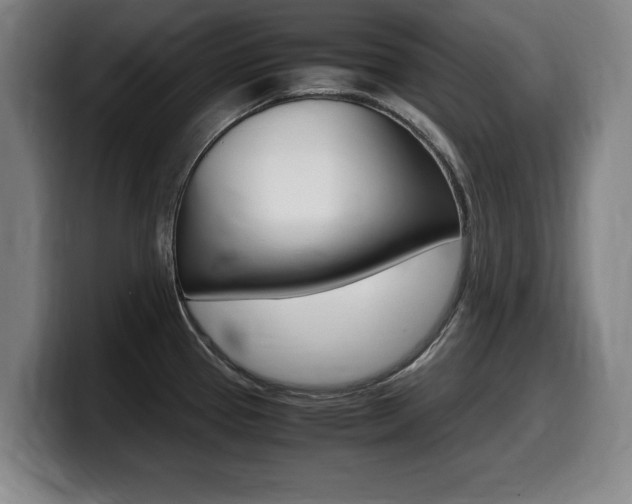 X0000099471337200805090806