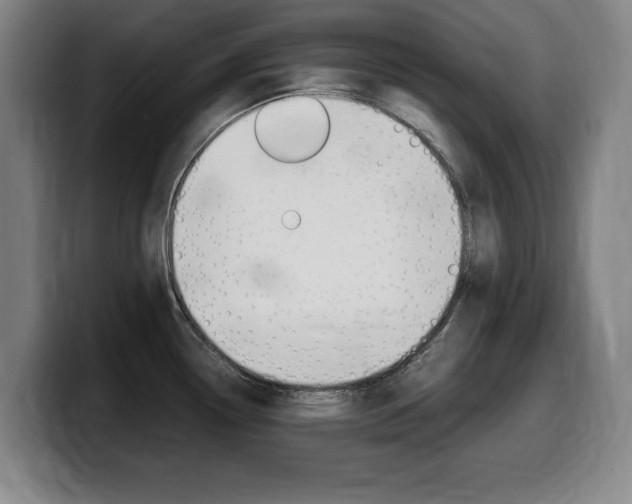 X0000099471338200805090806