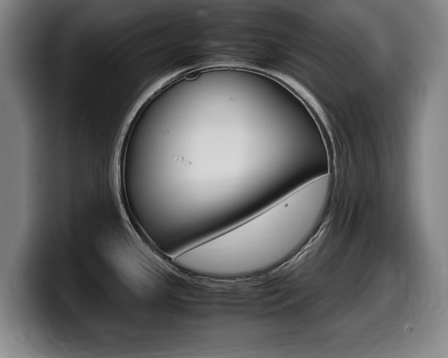 X0000099471341200805090806