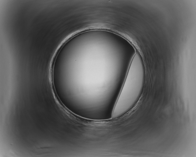 X0000099471342200805090806