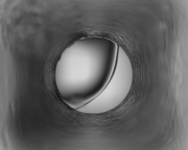 X0000099471345200805090805