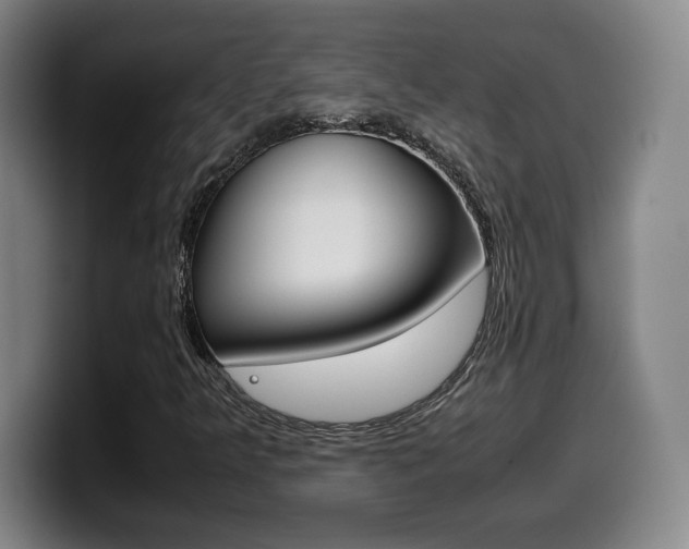 X0000099471349200805090805