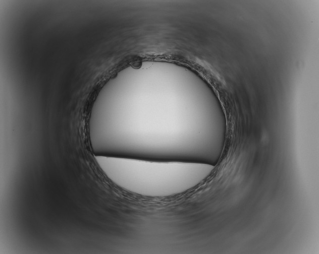 X0000099471350200805090805