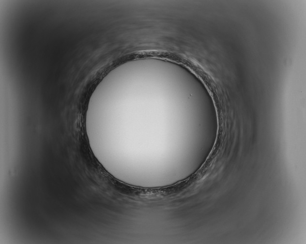 X0000099471351200805090805