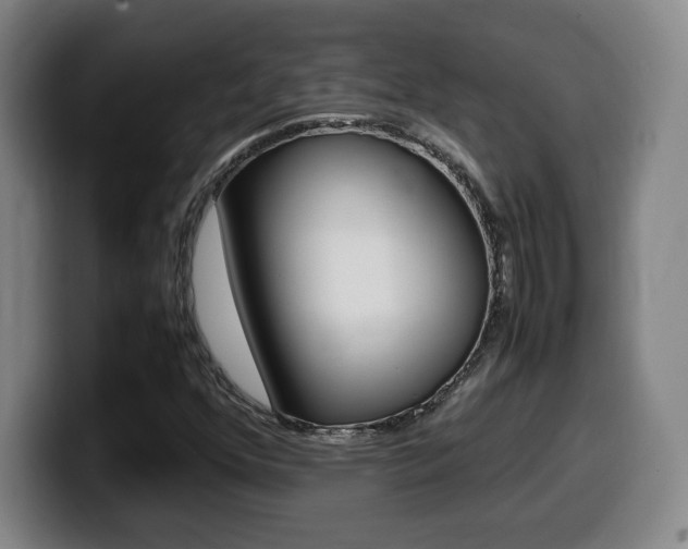 X0000099471352200805090805