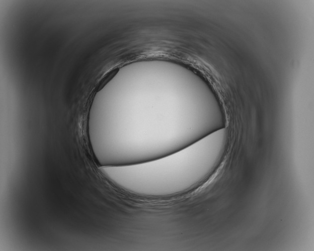 X0000099471353200805090805