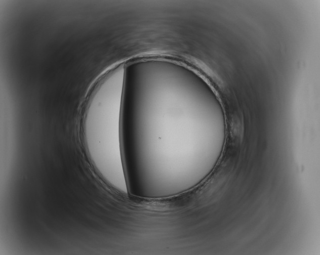 X0000099471356200805090805