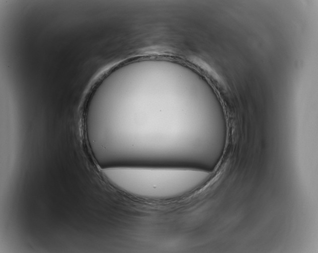 X0000099471358200805090805