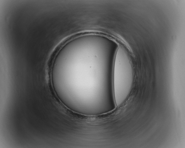 X0000099471360200805090805