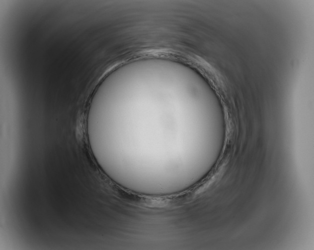 X0000099471361200805090805